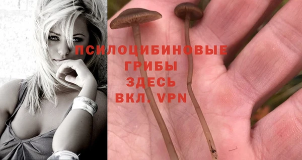 бошки Абдулино