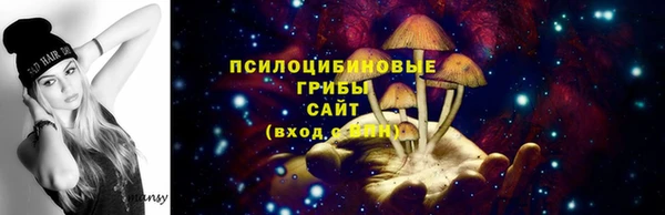 бошки Абдулино