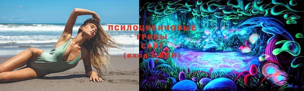 трава Майский
