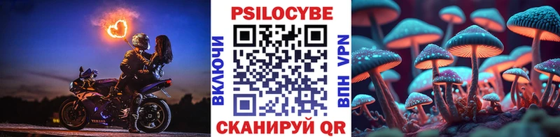 ссылка на мегу ONION  Тарко-Сале  Псилоцибиновые грибы Psilocybe 