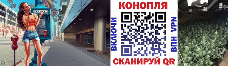 Канабис семена  Тарко-Сале 